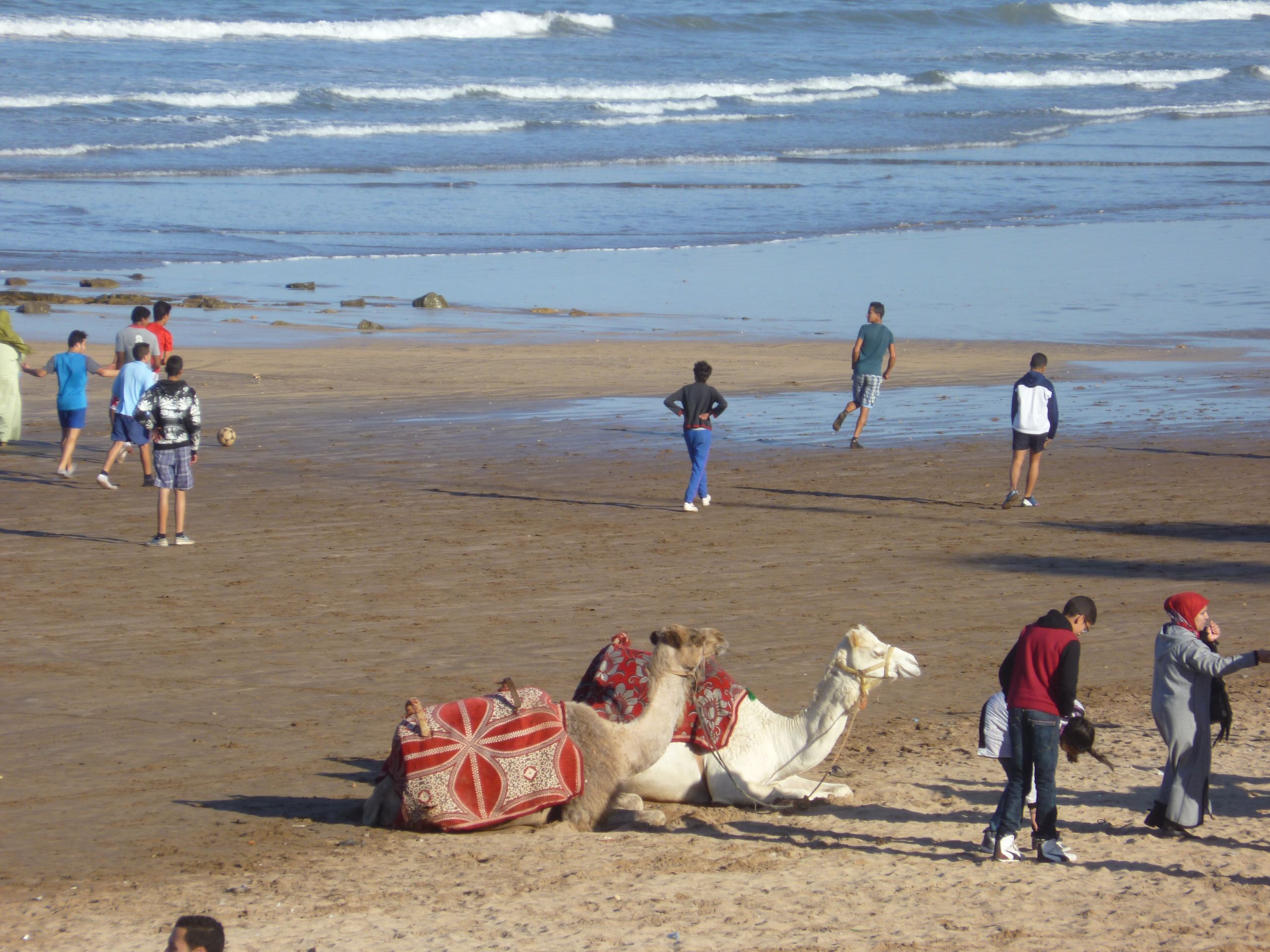 rencontres portugais